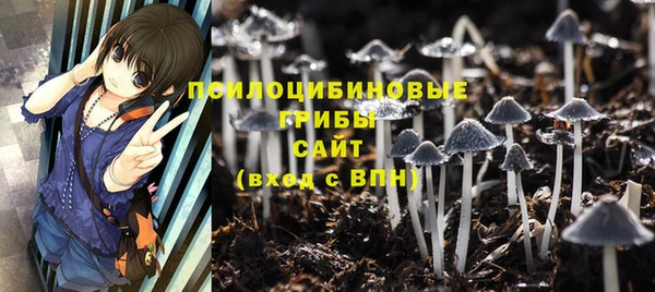MDMA Premium VHQ Белокуриха