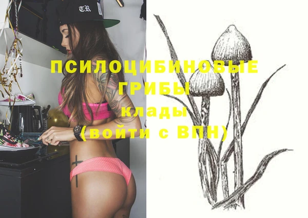 MDMA Premium VHQ Белокуриха