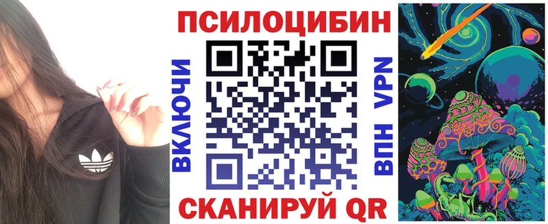 Псилоцибиновые грибы Psilocybe Верхний Тагил